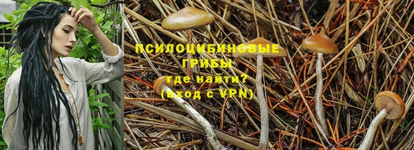 круглые Новозыбков