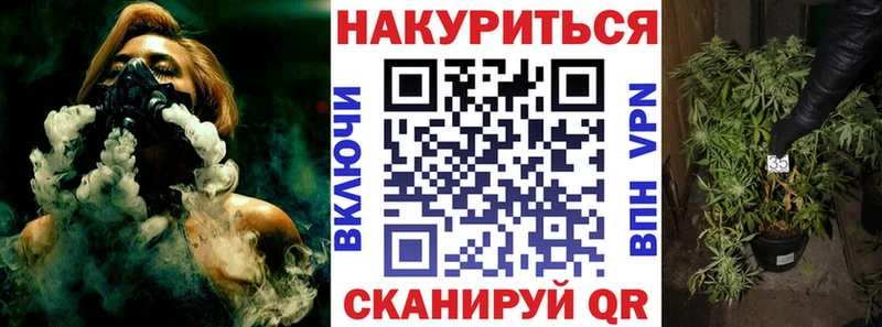 Бошки марихуана планчик  цена наркотик  блэк спрут вход  Чегем 
